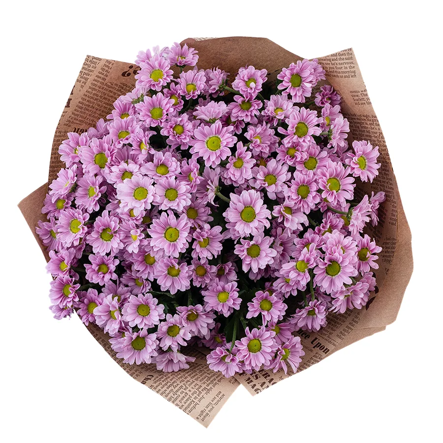 Букет из 15 розовых кустовых хризантем Сантини Крисси (02828)