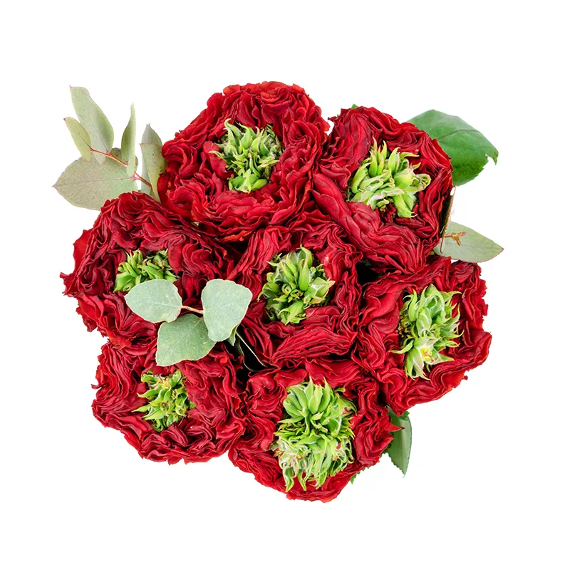 Букет из 7 красных с зеленым роз Ред Ай (01316)