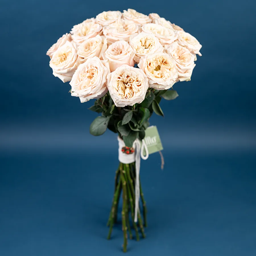 Букет из 21 садовой кремовой розы Башфул (03843)