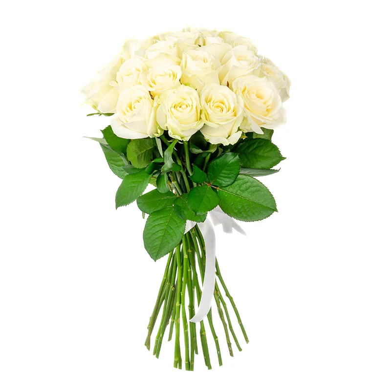 Букет из 23 белых роз Аваланж (01136)