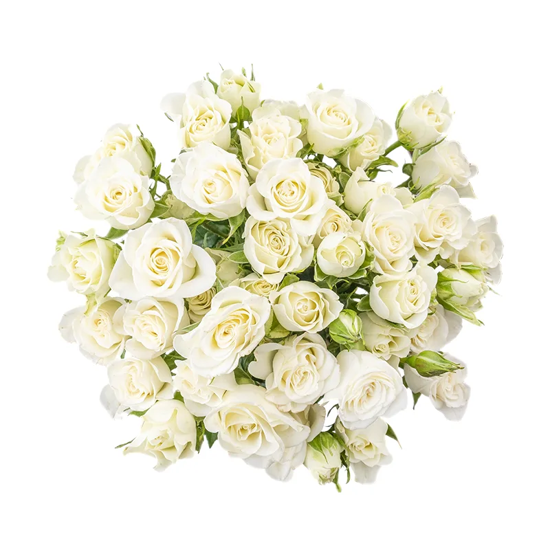 Букет из 11 белых кустовых роз Сноуфлейк (02130)