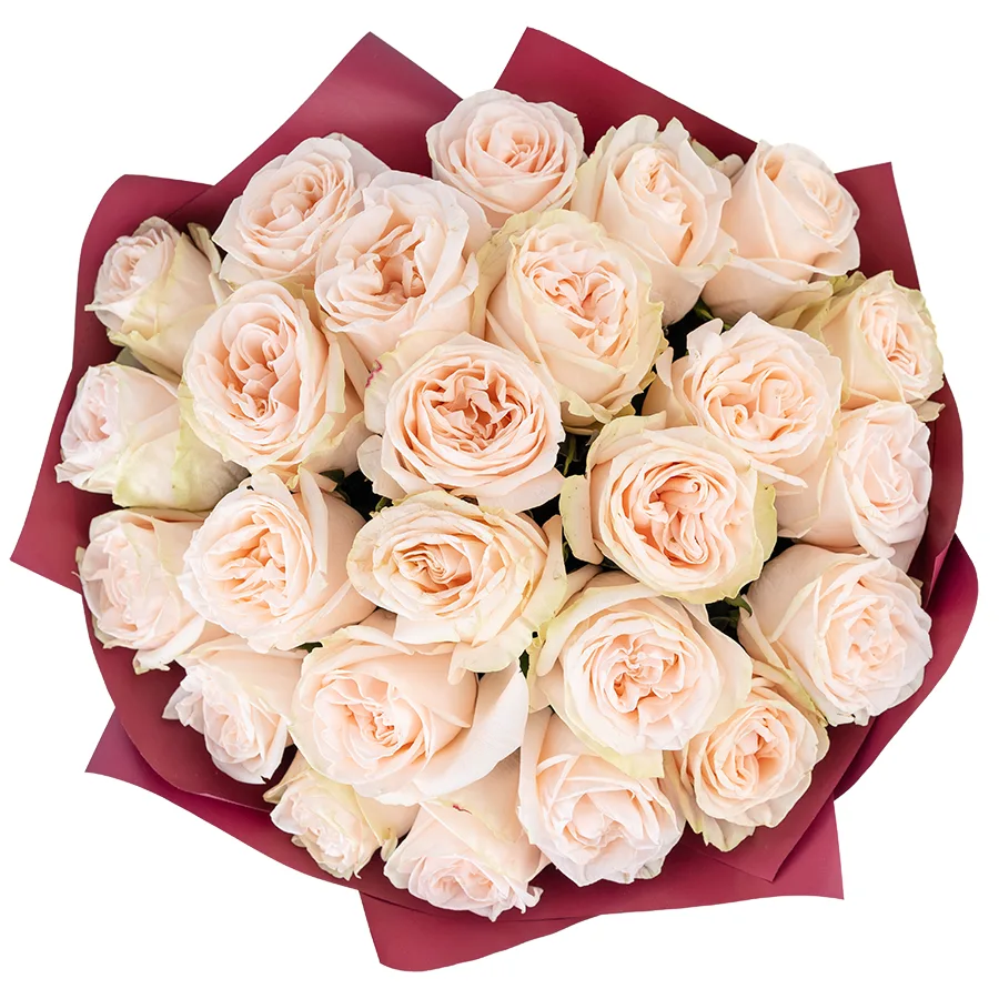 Букет из 25 кремово-розовых пионовидных роз Гарден Спирит (02915)