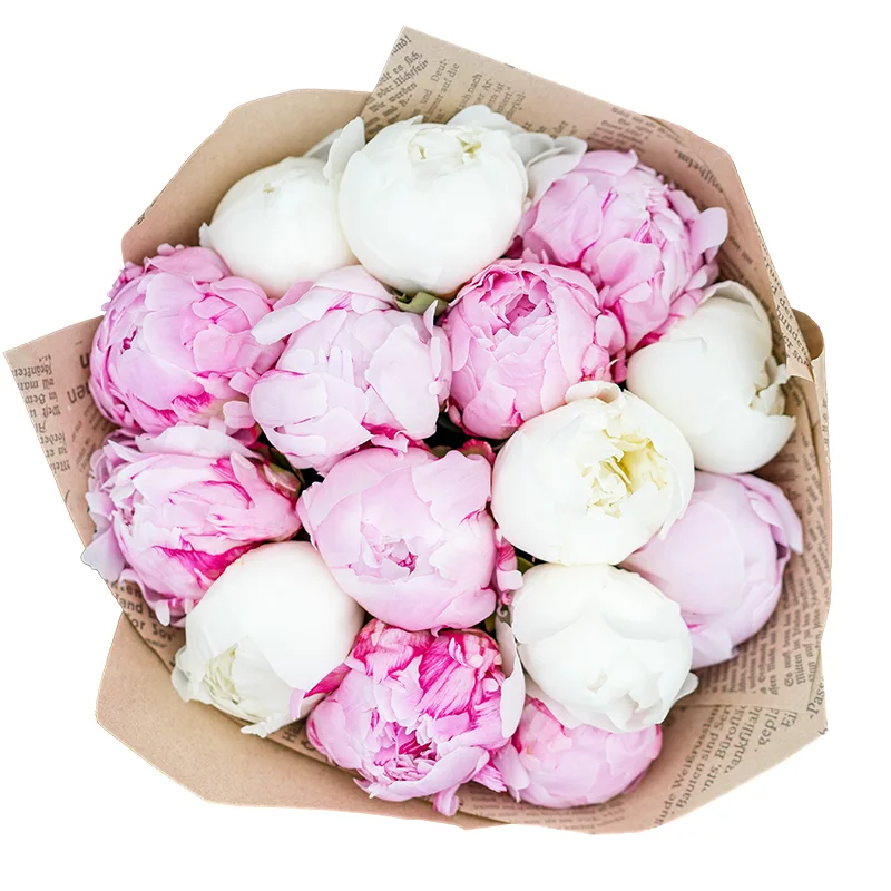 Букет из 15 розовых и белых пионов (01036)