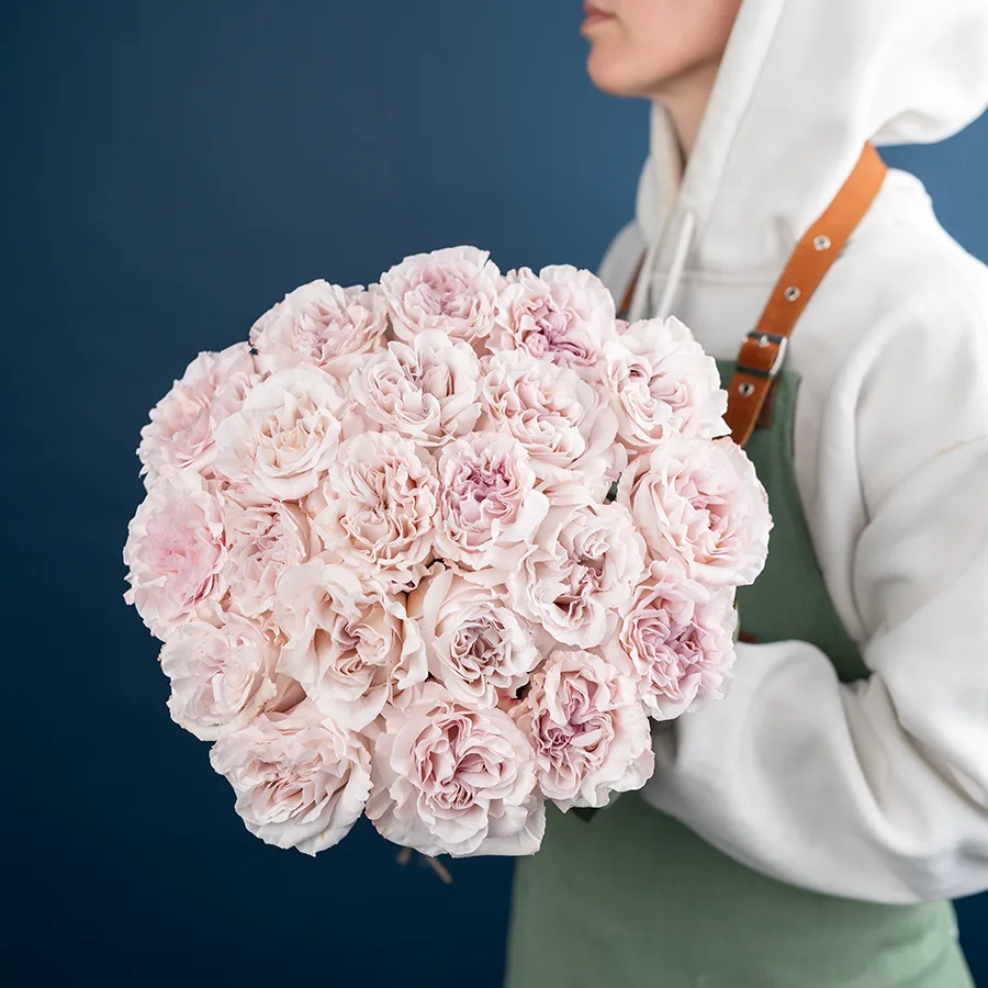 Букет из 21 садовой пыльно-сиреневой розы Паудер Пуф (03830)