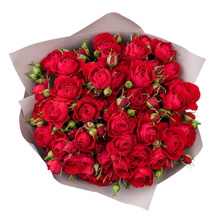Букет из 9 ярко-красных кустовых пионовидных роз Скарлет Дименшн (02761)
