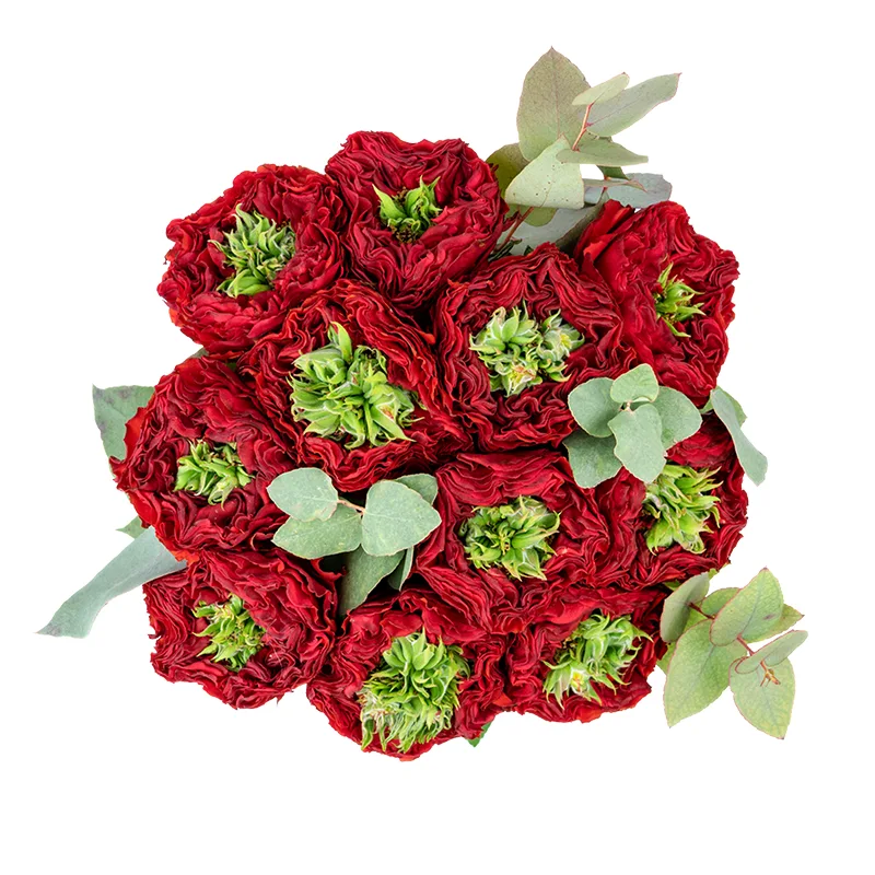 Букет из 11 красных с зеленым роз Ред Ай (01314)