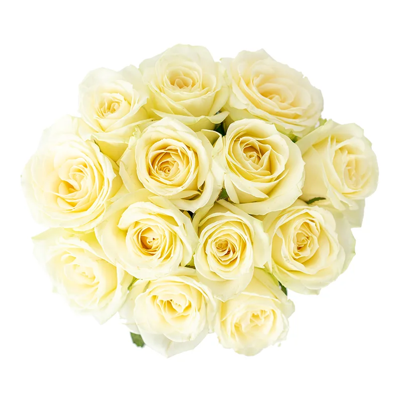 Букет из 13 белых роз Аваланж (01140)