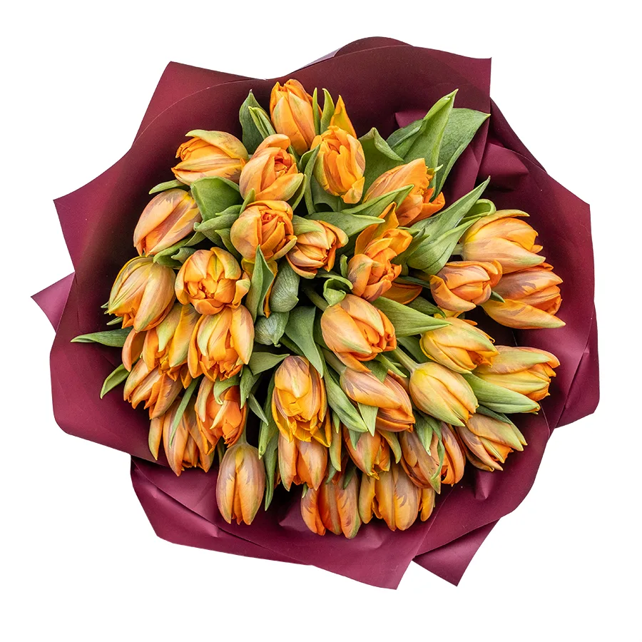 Букет из 31 оранжевого махрового тюльпана Оранж Принцесс (02244)