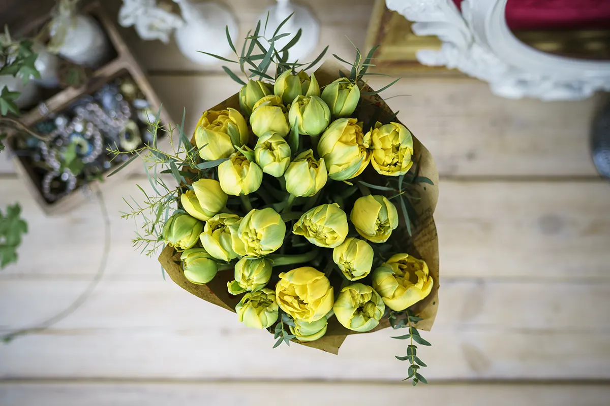 Букет из 25 желтых махровых тюльпанов Йелоу Помпонет (00749)