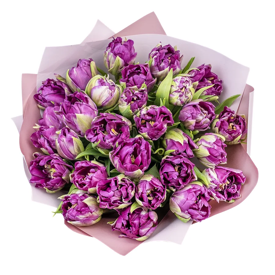 Букет из 29 фиолетовых пионовидных тюльпанов Пурпл Пеони (02320)