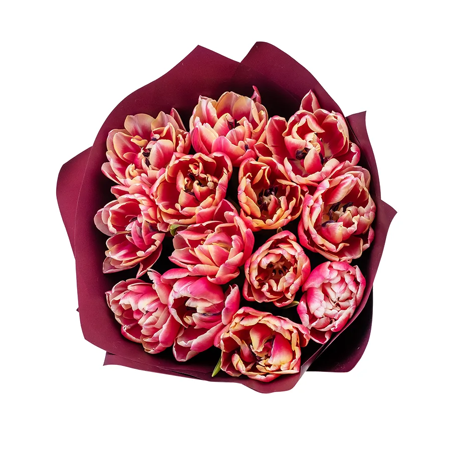 Букет из 13 красно-розовых с белой каймой махровых тюльпанов Колумбус (02208)