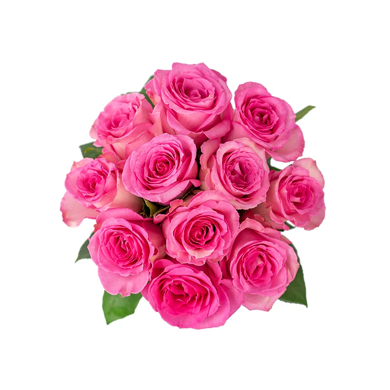 Букет из 11 розовых роз Свит Юнику (01164)