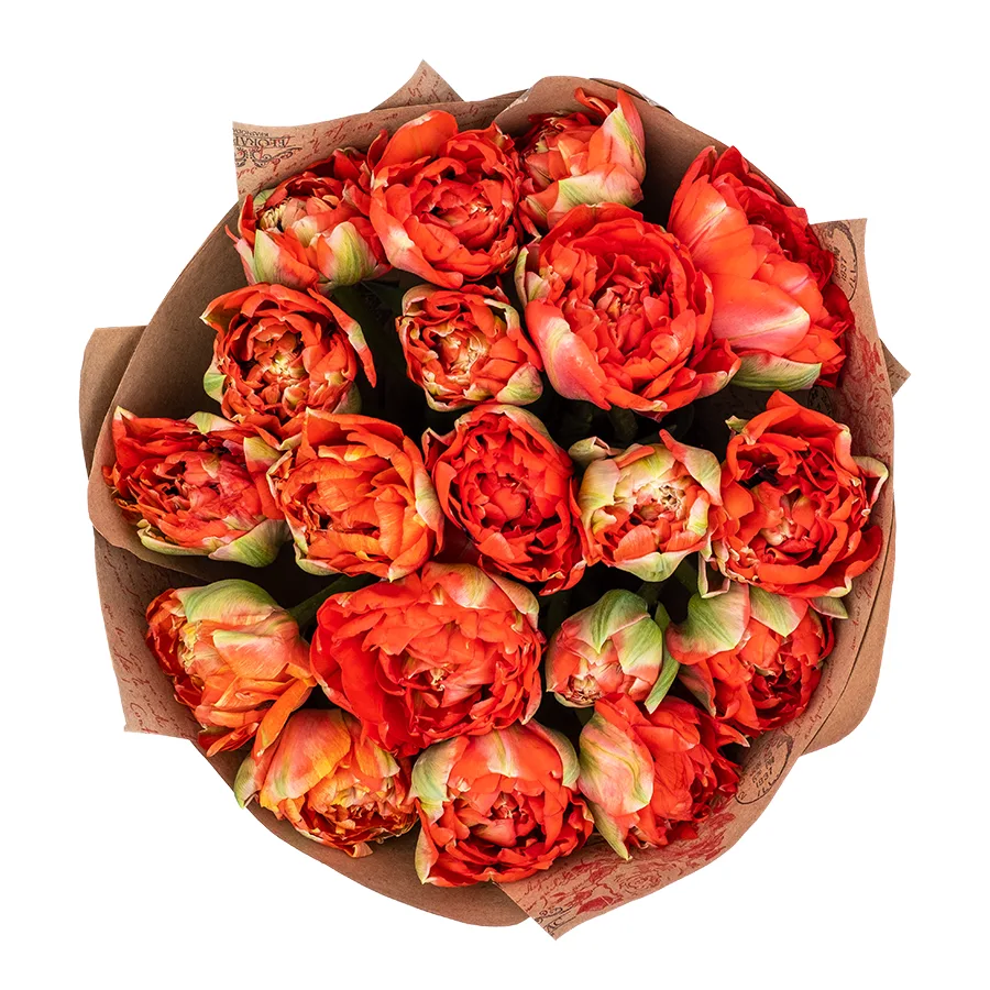 Букет из 19 красных гигантских пионовидных тюльпанов Гудошник (02417)