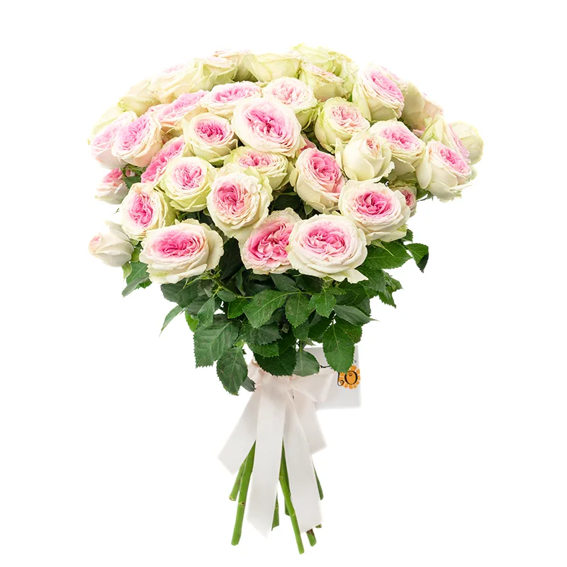 Букет из 13 розовых кустовых пионовидных роз Джелато (01171)