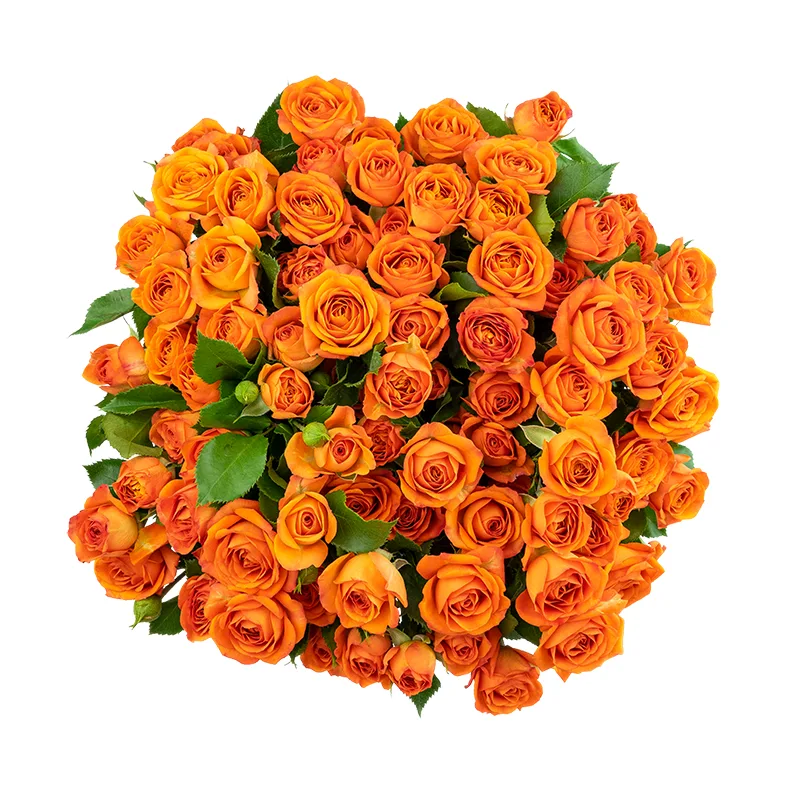 Букет из 13 оранжевых кустовых роз Бейб (01643)