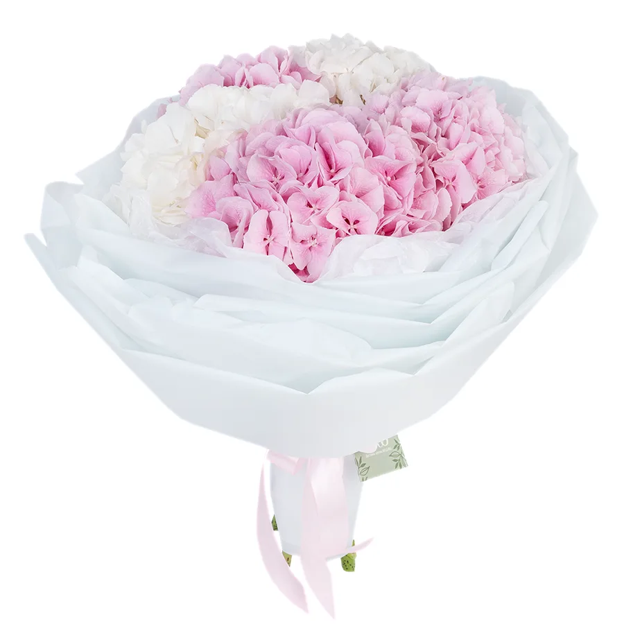 Букет из 5 розовых и белых гортензий Верена (02605)