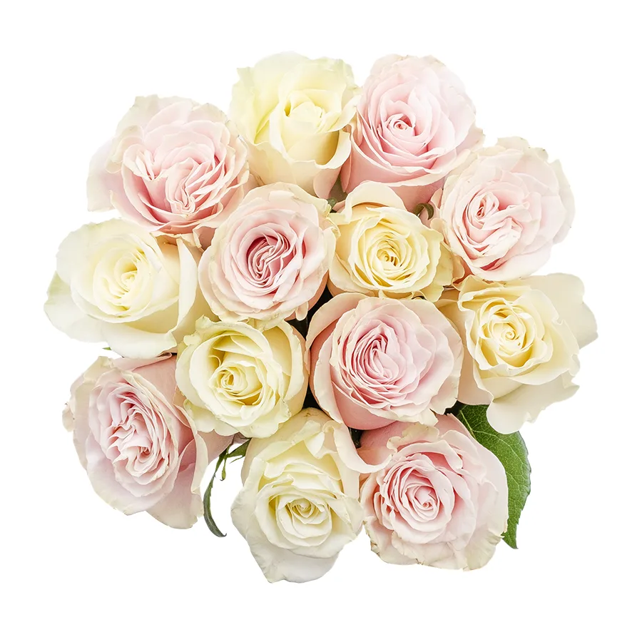 Букет из 13 белых и розовых роз Мондиаль и Пинк Мондиаль (02234)