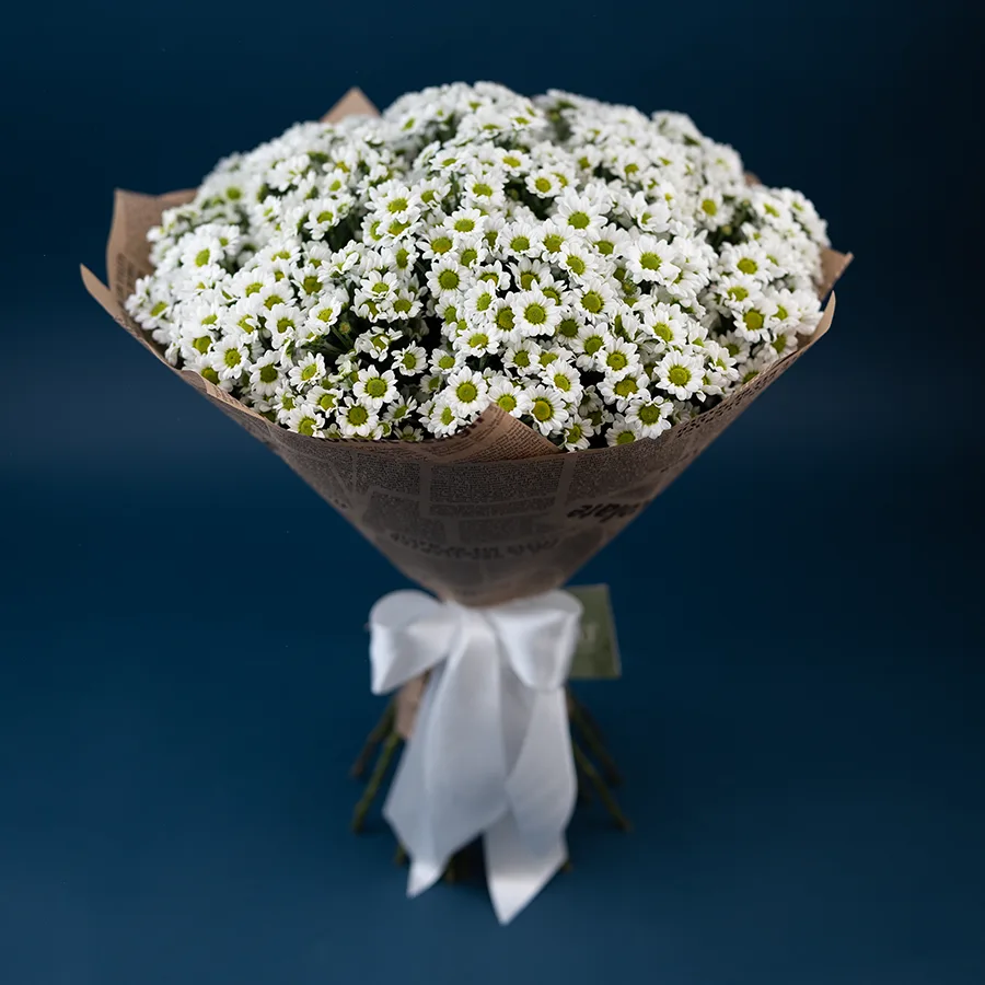 Букет из 25 белых кустовых хризантем Сантини Пиксель Сноуи (02892)