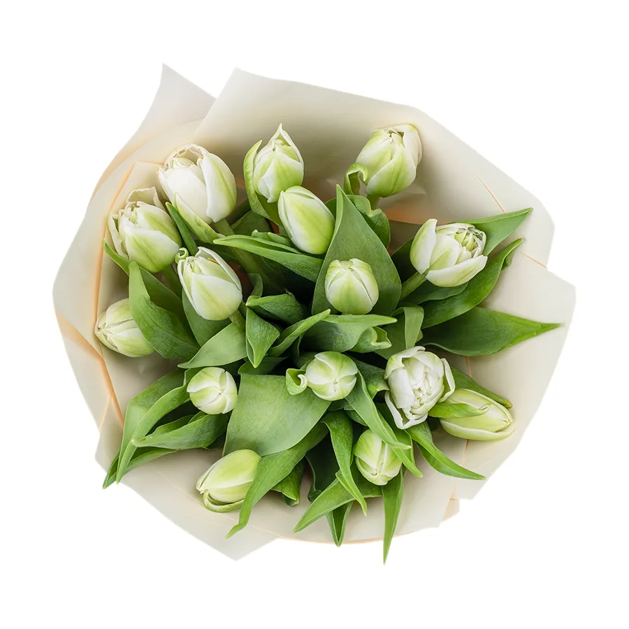 Букет из 13 белых махровых тюльпанов Вайт Херт (02467)