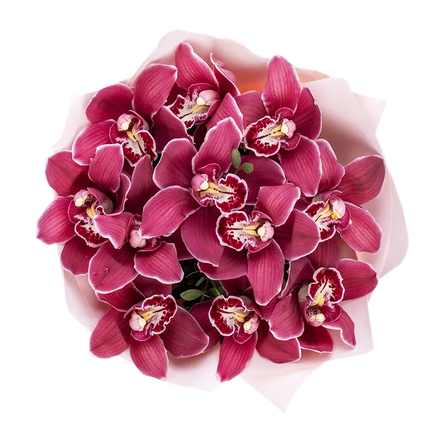 Букет из 11 красных орхидей Цимбидиум (02502)