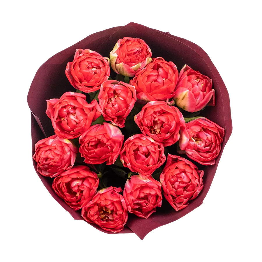 Букет из 15 красных махровых тюльпанов Памплона (02412)