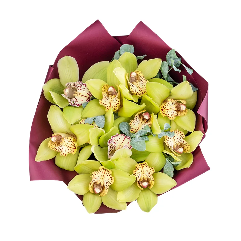 Букет из 11 зелёных орхидей Цимбидиум (01843)