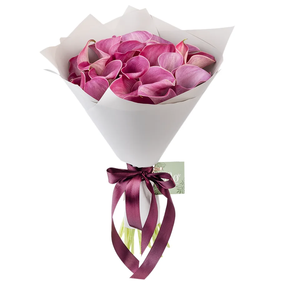 Букет из 25 розово-лиловых калл Капитан Романс (02881)