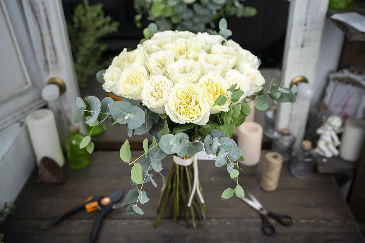 Букет из 23 белых садовых роз Майра Вайт с эвкалиптом (01120)