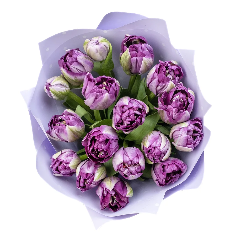 Букет из 17 фиолетовых махровых тюльпанов Сайгон (02394)