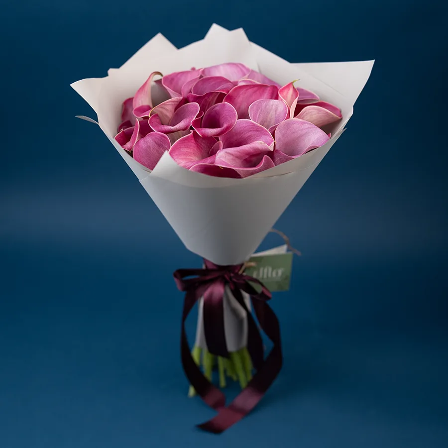 Букет из 25 розово-лиловых калл Капитан Романс (02881)